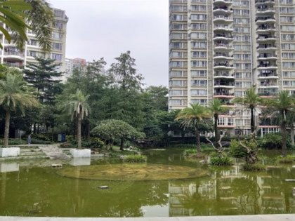 增城敏捷房产怎么样