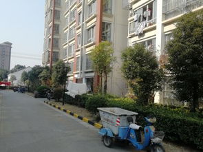 彭山鸿运房产怎么样