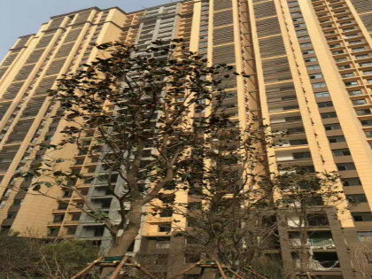 承德奥体房产怎么样