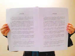 房产店月总结怎么写