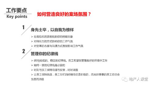 房产经理任职规划怎么写