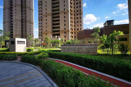 金创房产怎么样