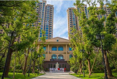 洛阳美的房产怎么样