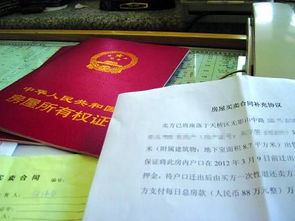 房产过户免责协议怎么写