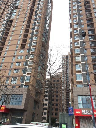 众优房产怎么样