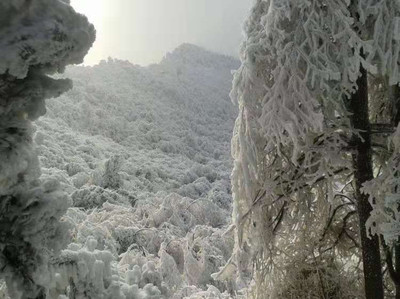 衡阳市抖音美食推荐公司,衡阳美食视频