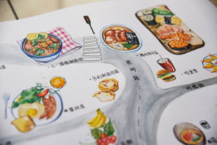 湖北美食插画入门书籍介绍(武汉美食插画)