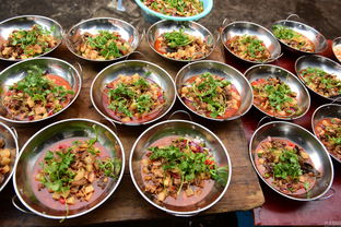 湖北美食主播在线听书(神级美食主播听书)