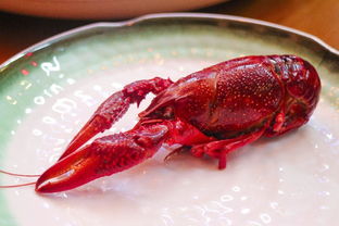 珠海湖北美食与广东珠海的美食之旅