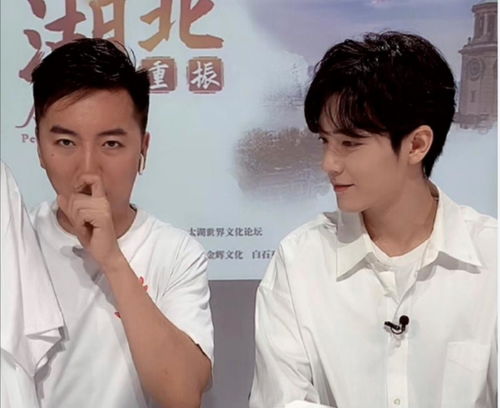 肖战直播湖北美食(肖战直播湖北美食节目)