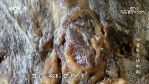 湖北美食视频制作模板下载(湖北美食视频制作模板下载软件)