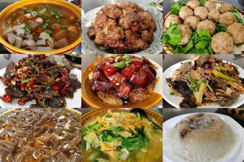 湖北美食视频西娃子(湖北美食视频西娃子是哪里的)