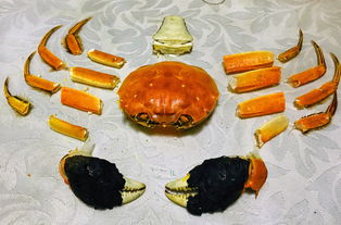 湖北美食菜谱，螃蟹的诱惑（大螃蟹美食之旅）