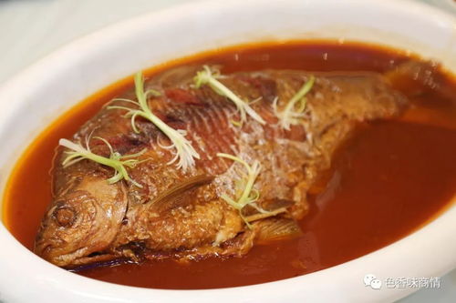 湖北美食是什么菜系(湖北的美食是什么)