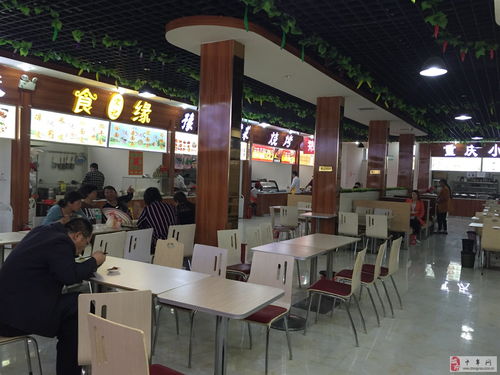 湖北美食学徒招募启动