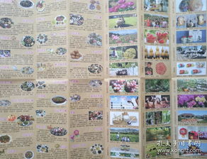 湖北美食导游图