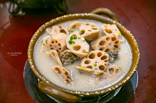 湖北美食藕汤直播间在哪