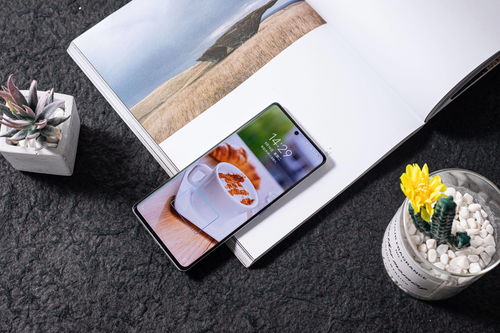 湖北美食拍照手机推荐图片