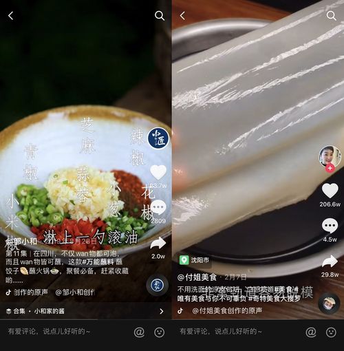 抖音最火湖北美食视频下载