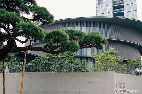 湖北美术馆附近美食探秘，小镇美食之旅