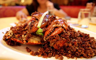 湖北美食天地狗肉节盛事庆典