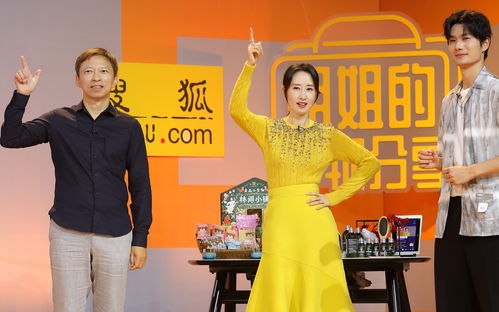 刘敏涛湖北美食的简单介绍