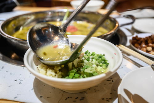 天天向上揭秘湖北美食的魅力