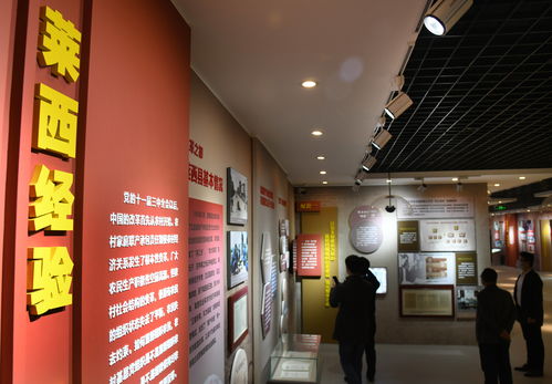 湖北美术馆旁美食城名称揭晓，美食天堂！