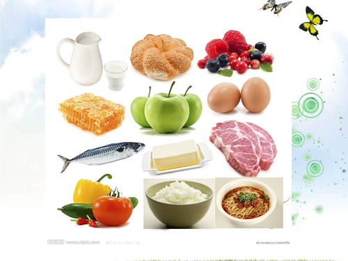 湖北美食图片幼儿园教案