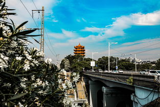 湖北旅游热潮涌动，探寻湖北热门景点之旅