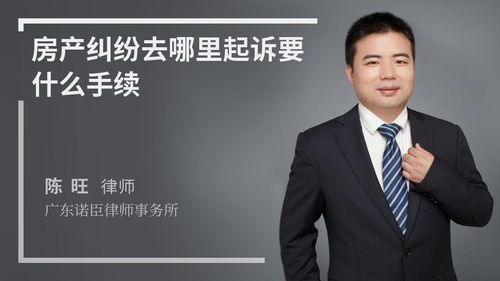 湖北房产争议纠纷起诉指南，哪里起诉及快速解决之道