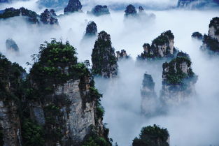 湖北到贵州旅游必去景点推荐及游玩攻略