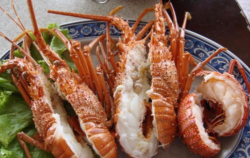 湖北美食海鲜最新行情揭秘，海鲜价格与货源探源