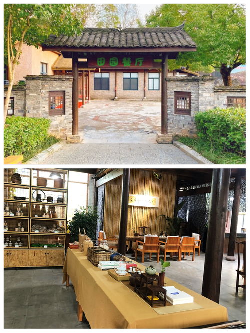 湖北小众旅游江浙沪,湖北旅游小众景点