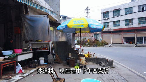 湖北美食小吃门店探秘，一站式品尝地道湖北风味